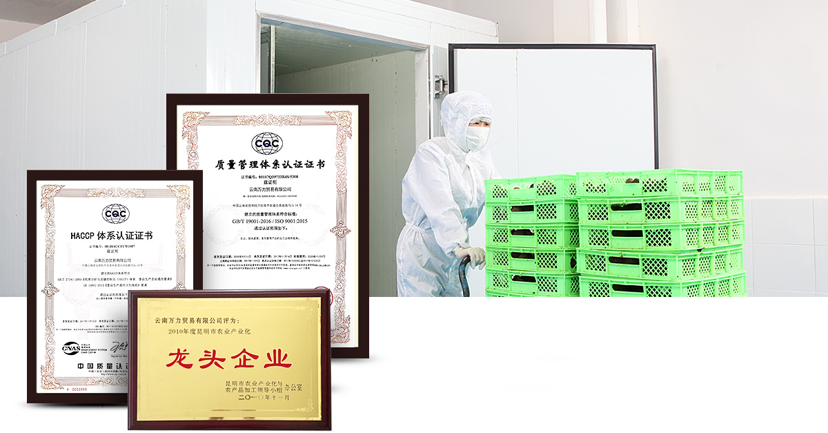 自主研發(fā)，出口品質(zhì)